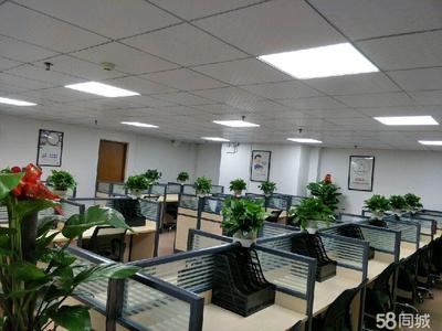 茂名市天弘商務(wù)信息咨詢 專業(yè)助力企業(yè)決策與發(fā)展的戰(zhàn)略伙伴